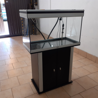 Acquario