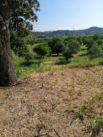 Terreno Agricolo Squillace Lido (CZ)