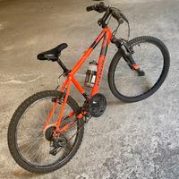 Bici mountain bike