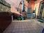Immagine 11