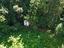 Immagine 13