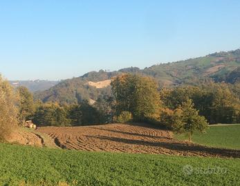 Terreno agricolo pianeggiante e piccolo bosco