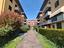 Immagine 12