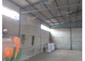 Rustico/Casale/Corte Viterbo [A4329331]