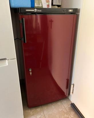 Cantinetta frigo Liebherr