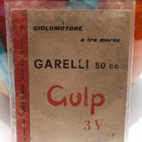 Manuale  istruzioni Garelli Gulp