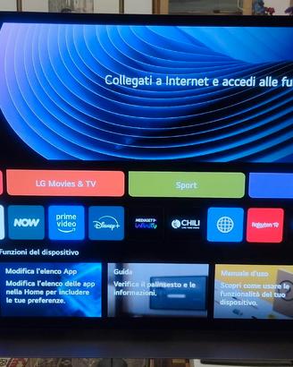 TV LG OLED 48" C2 (2022) splendido piccolo difetto
