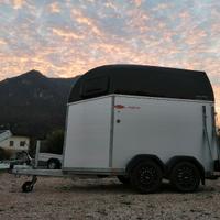 Trailer van trasporto cavalli in allu