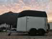 Trailer van trasporto cavalli in allu