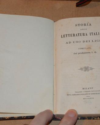 STORIA DELLA LETTERATURA ITALIANA SAGGIO