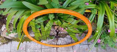 ruota anteriore 28 bici da corsa