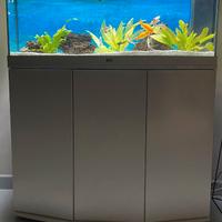 ACQUARIO JUWEL 180