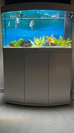 ACQUARIO JUWEL 180