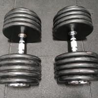 Coppia - Manubri Palestra 50kg (100kg) Made In USA