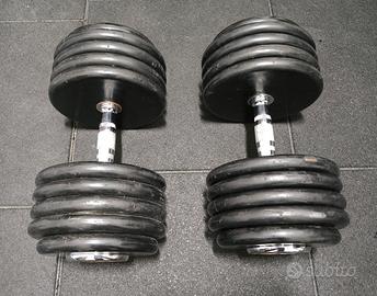 Coppia - Manubri Palestra 50kg (100kg) Made In USA