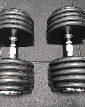 Coppia - Manubri Palestra 50kg (100kg) Made In USA