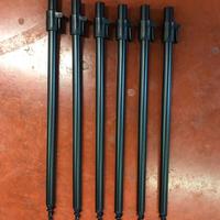 6 picchetti pesca  carpfishing storione