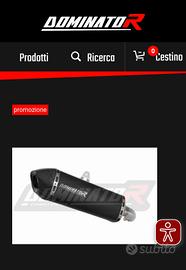 scarico suxuki  v-strom 1050