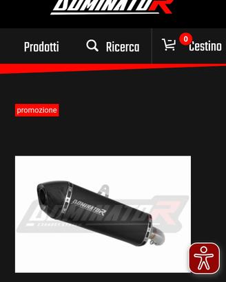 scarico suxuki  v-strom 1050