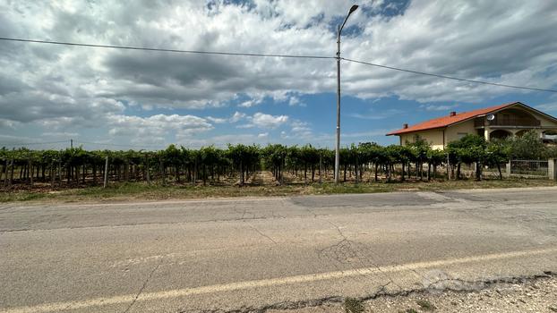 Terreno di 2760mq edificabile e agricolo