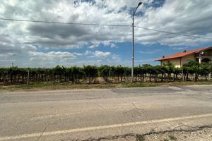 Terreno di 2760mq edificabile e agricolo