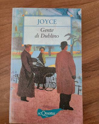 libro: GENTE DI DUBLINO 