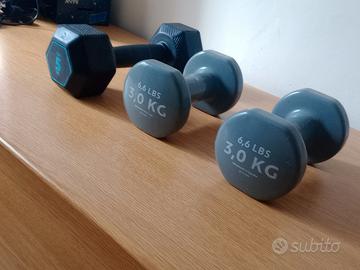 Manubri da palestra
