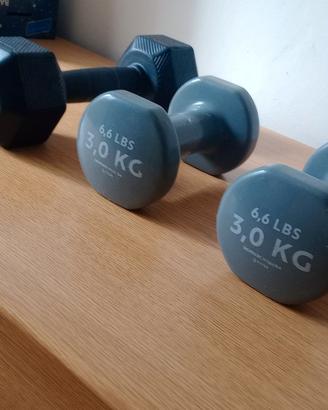 Manubri da palestra