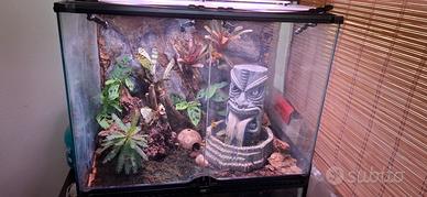 Terrario bioattivo completo 