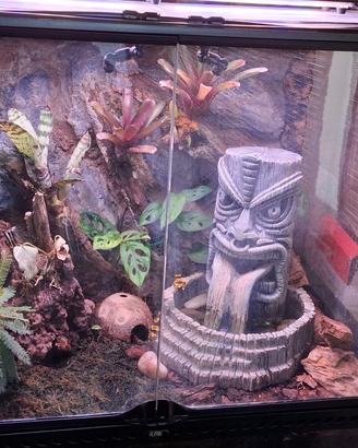 Terrario bioattivo completo 