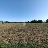 TER. AGRICOLO A PIANIGA