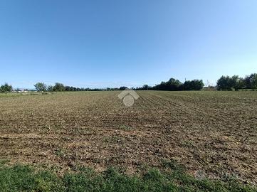 TER. AGRICOLO A PIANIGA