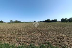 TER. AGRICOLO A PIANIGA