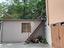 Immagine 29