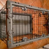 Kennel