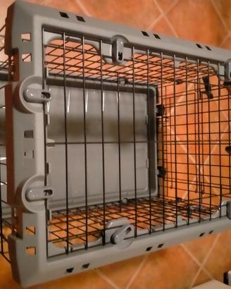 Kennel
