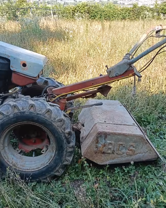 Motocoltivatore Grillo