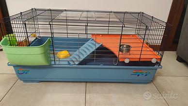 Gabbia per cavia peruviana, criceto coniglio nano