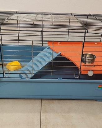 Gabbia per cavia peruviana, criceto coniglio nano
