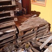 legna da ardere 