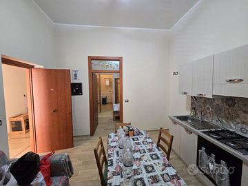 Bivani arredato Università