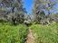 Immagine 23