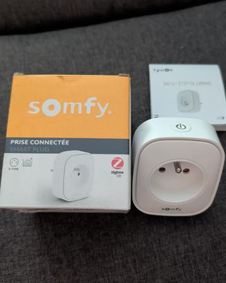 Somfy 1871215 - Presa con connessione
