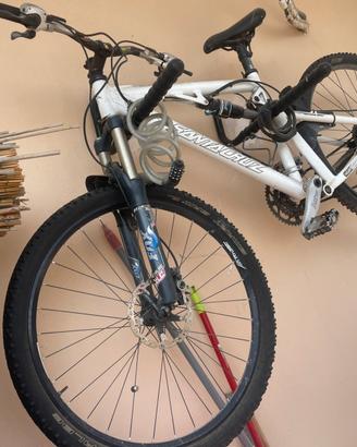 Mountain bike usata marca Santa Cruz