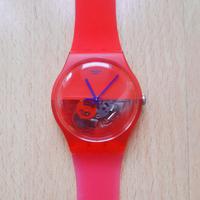 swatch bicolor 