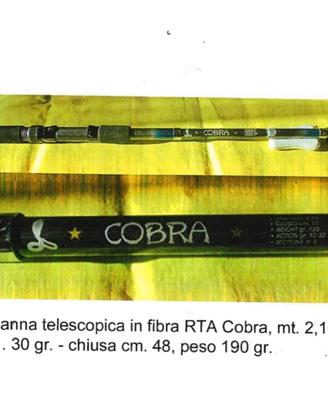 Canna da pesca