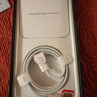 Iphone 13 Pro max Silver perfetto 256gb