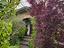 Immagine 26