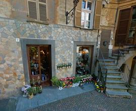 Negozio Saluzzo [L MA2ACG]