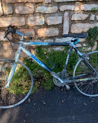 Bicicletta Giant Cadex 1 MTB